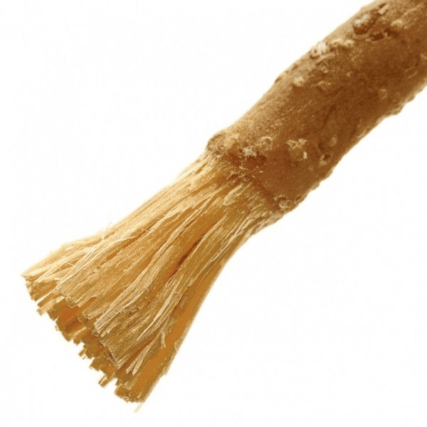 5 questions I had before putting a Miswak in my mouth