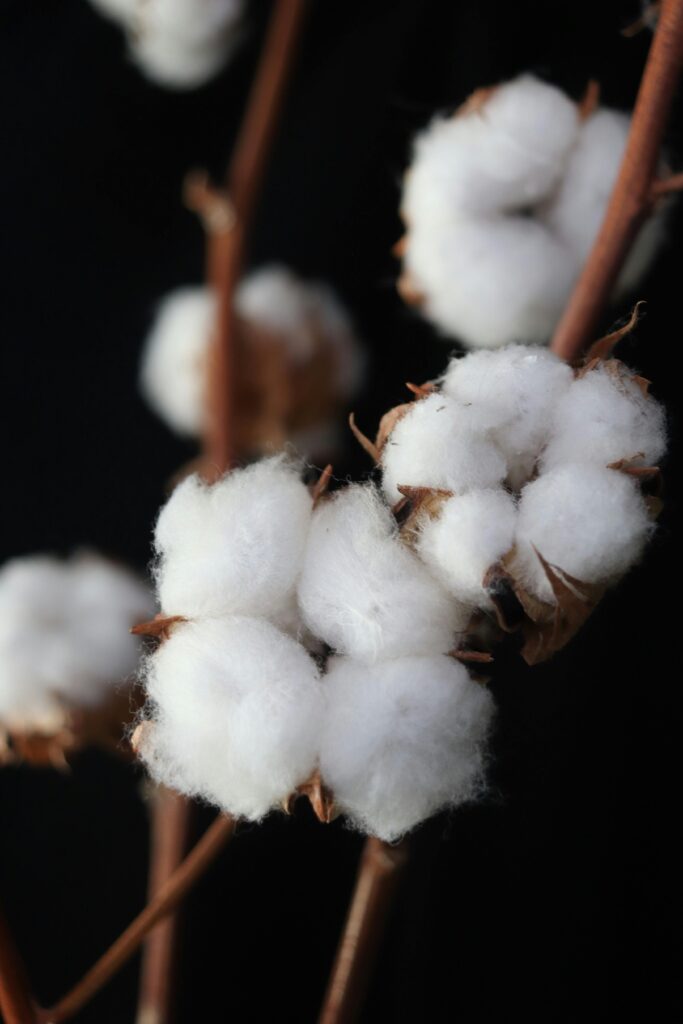 Beyond the Label: How to Choose High-Quality Cotton
