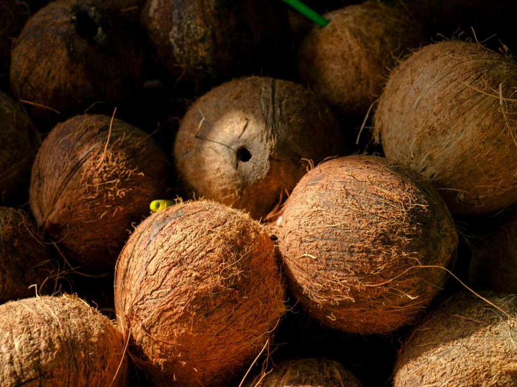 The Benefits of Coconut Oil for Skin, Hair, and Wellness