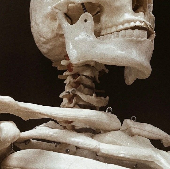 Understanding your body